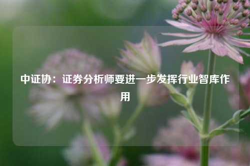 中证协：证券分析师要进一步发挥行业智库作用