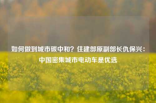 如何做到城市碳中和？住建部原副部长仇保兴：中国密集城市电动车是优选