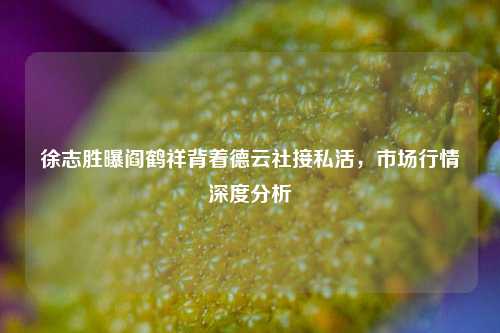 徐志胜曝阎鹤祥背着德云社接私活，市场行情深度分析