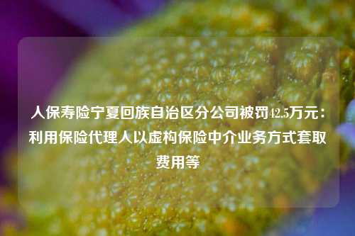 人保寿险宁夏回族自治区分公司被罚42.5万元：利用保险代理人以虚构保险中介业务方式套取费用等