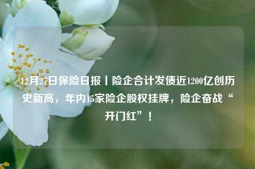 12月27日保险日报丨险企合计发债近1200亿创历史新高，年内15家险企股权挂牌，险企奋战“开门红”！