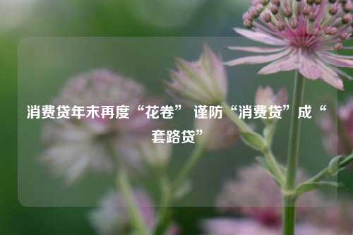 消费贷年末再度“花卷” 谨防“消费贷”成“套路贷”