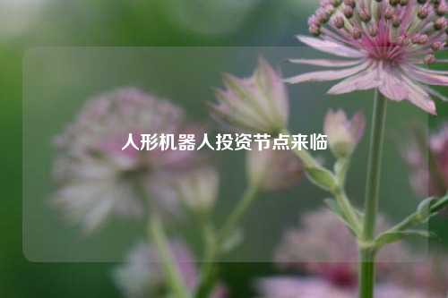 人形机器人投资节点来临