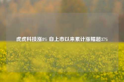 虎虎科技涨8% 自上市以来累计涨幅超37%