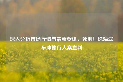 深入分析市场行情与最新资讯，死刑！珠海驾车冲撞行人案宣判