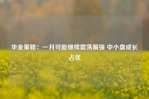 华金策略：一月可能继续震荡偏强 中小盘成长占优