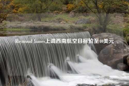 Raymond James上调西南航空目标价至40美元