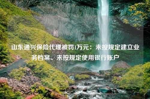 山东通兴保险代理被罚1万元：未按规定建立业务档案、未按规定使用银行账户