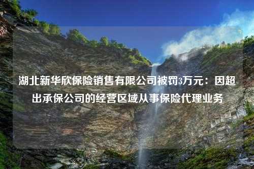 湖北新华欣保险销售有限公司被罚3万元：因超出承保公司的经营区域从事保险代理业务