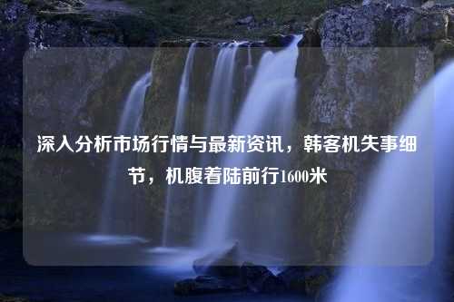 深入分析市场行情与最新资讯，韩客机失事细节，机腹着陆前行1600米