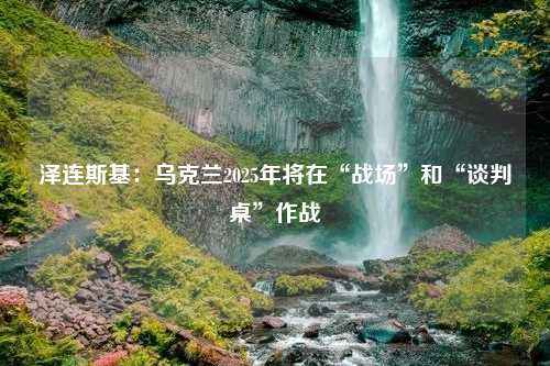 泽连斯基：乌克兰2025年将在“战场”和“谈判桌”作战