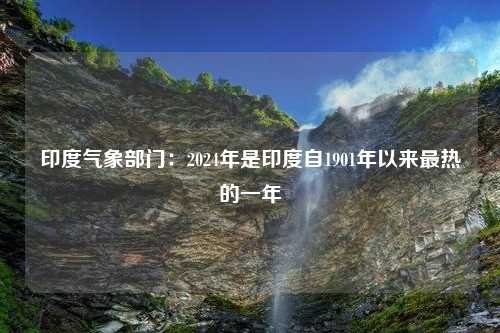 印度气象部门：2024年是印度自1901年以来最热的一年