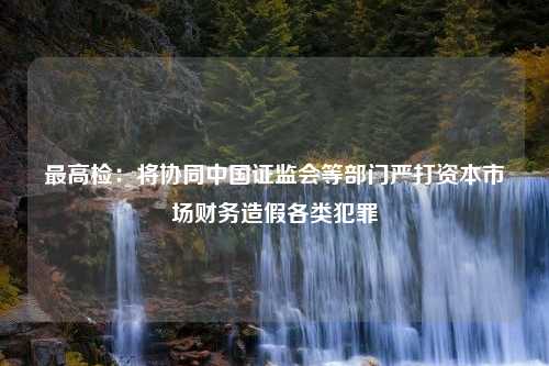 最高检：将协同中国证监会等部门严打资本市场财务造假各类犯罪