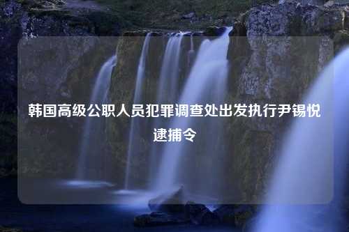 韩国高级公职人员犯罪调查处出发执行尹锡悦逮捕令