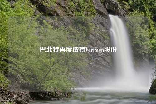 巴菲特再度增持VeriSign股份