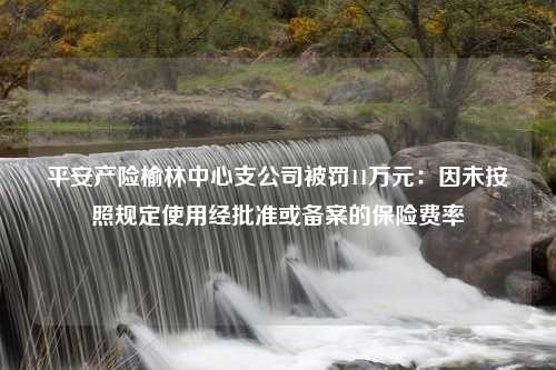 平安产险榆林中心支公司被罚11万元：因未按照规定使用经批准或备案的保险费率