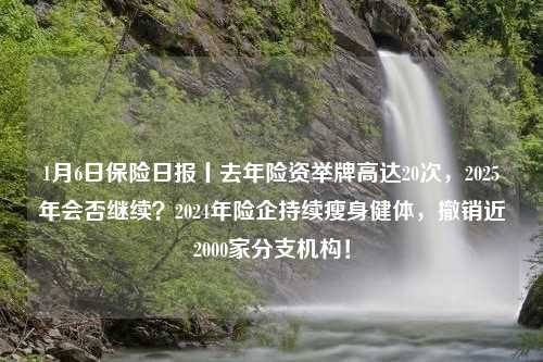 1月6日保险日报丨去年险资举牌高达20次，2025年会否继续？2024年险企持续瘦身健体，撤销近2000家分支机构！