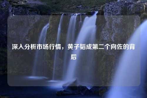 深入分析市场行情，黄子韬成第二个向佐的背后