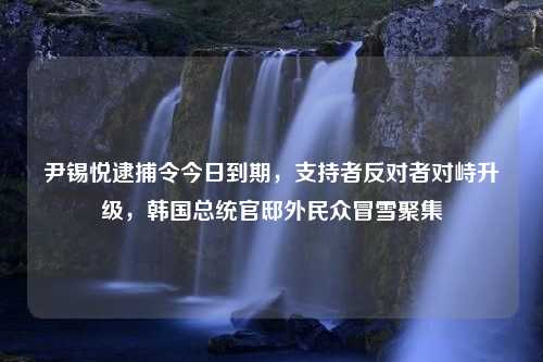 尹锡悦逮捕令今日到期，支持者反对者对峙升级，韩国总统官邸外民众冒雪聚集