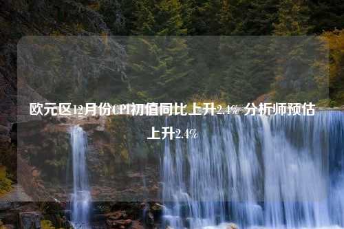 欧元区12月份CPI初值同比上升2.4% 分析师预估上升2.4%