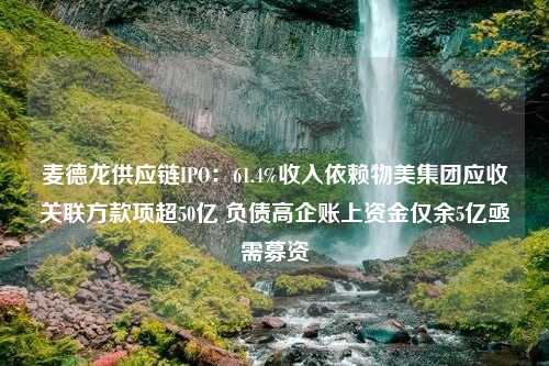 麦德龙供应链IPO：61.4%收入依赖物美集团应收关联方款项超50亿 负债高企账上资金仅余5亿亟需募资