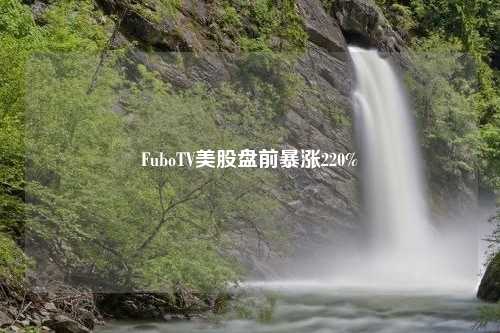 FuboTV美股盘前暴涨220%