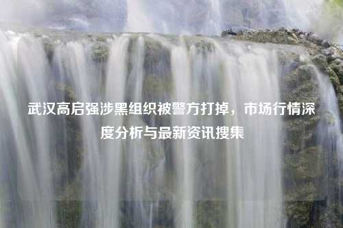 武汉高启强涉黑组织被警方打掉，市场行情深度分析与最新资讯搜集