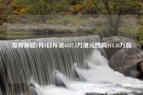 友邦保险1月8日斥资6187.1万港元回购114.48万股