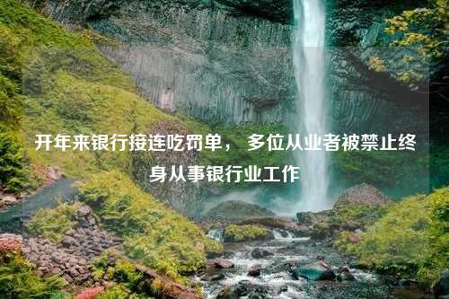 开年来银行接连吃罚单， 多位从业者被禁止终身从事银行业工作