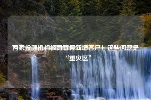 两家投顾机构被罚暂停新增客户！这些问题是“重灾区”