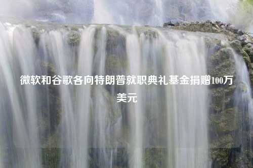 微软和谷歌各向特朗普就职典礼基金捐赠100万美元