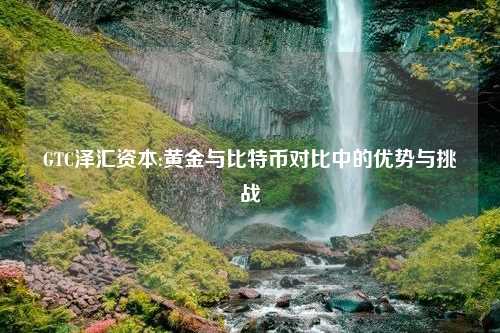 GTC泽汇资本:黄金与比特币对比中的优势与挑战