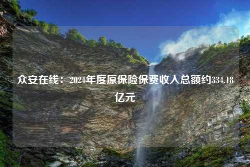 众安在线：2024年度原保险保费收入总额约334.18亿元