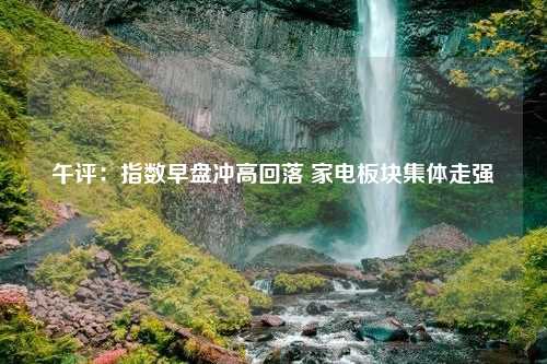 午评：指数早盘冲高回落 家电板块集体走强