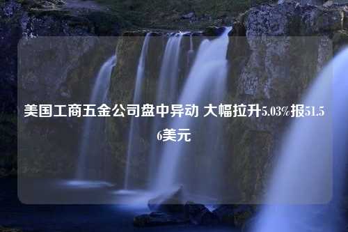 美国工商五金公司盘中异动 大幅拉升5.03%报51.56美元