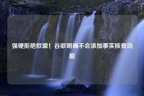 强硬拒绝欧盟！谷歌明确不会添加事实核查功能