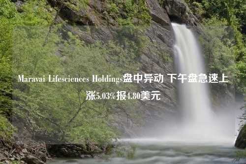 Maravai Lifesciences Holdings盘中异动 下午盘急速上涨5.03%报4.80美元