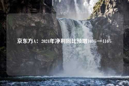 京东方A：2024年净利同比预增104%—116%