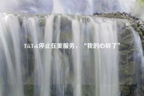 TikTok停止在美服务，“我的心碎了”