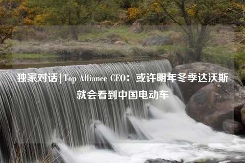 独家对话|Top Alliance CEO：或许明年冬季达沃斯就会看到中国电动车