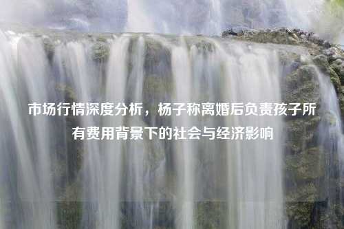 市场行情深度分析，杨子称离婚后负责孩子所有费用背景下的社会与经济影响