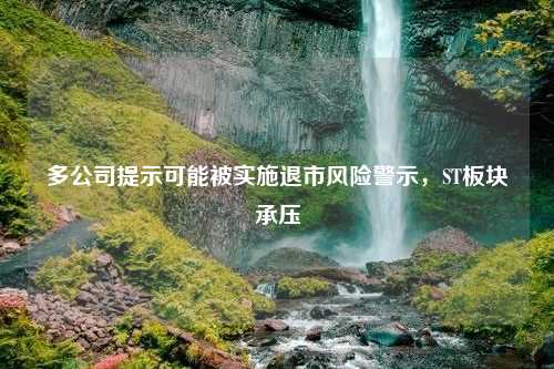 多公司提示可能被实施退市风险警示，ST板块承压