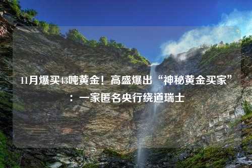 11月爆买43吨黄金！高盛爆出“神秘黄金买家”：一家匿名央行绕道瑞士