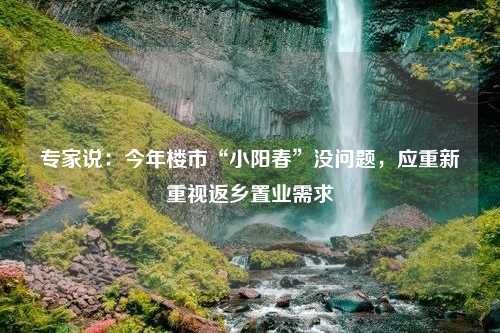 专家说：今年楼市“小阳春”没问题，应重新重视返乡置业需求