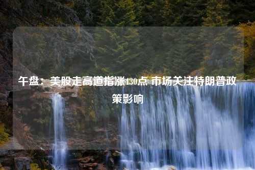 午盘：美股走高道指涨430点 市场关注特朗普政策影响