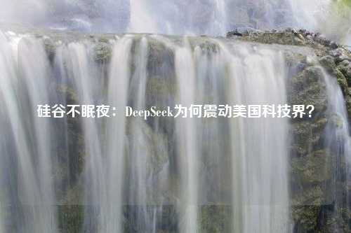 硅谷不眠夜：DeepSeek为何震动美国科技界？