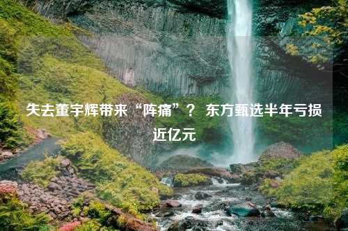 失去董宇辉带来“阵痛”？ 东方甄选半年亏损近亿元