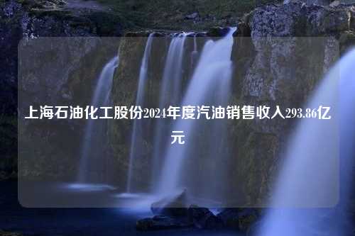 上海石油化工股份2024年度汽油销售收入293.86亿元