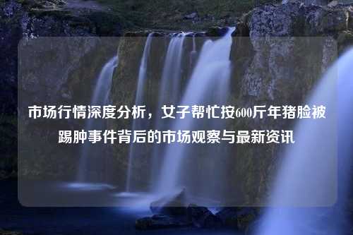 市场行情深度分析，女子帮忙按600斤年猪脸被踢肿事件背后的市场观察与最新资讯